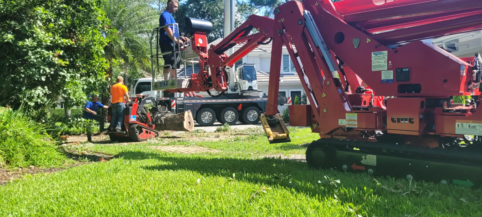 904Tree demolition services Jacksonville FL