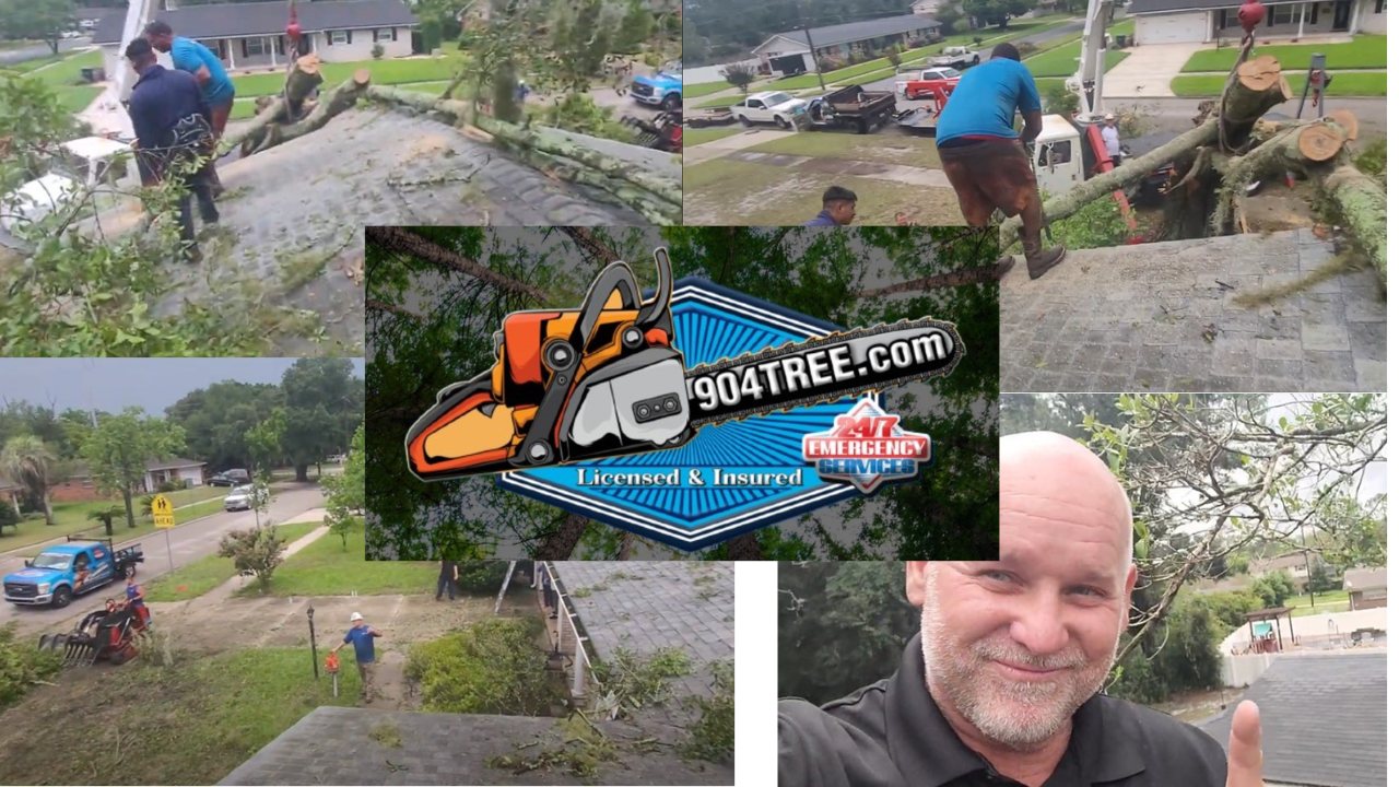 Affordable tree service across Duval and St. Johns County, Florida by 904Tree