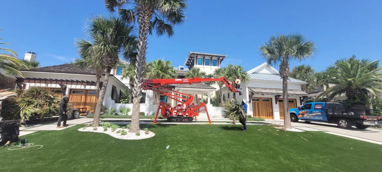 Crown thinning to open up water and sky views at a Jacksonville coastal home — 904Tree