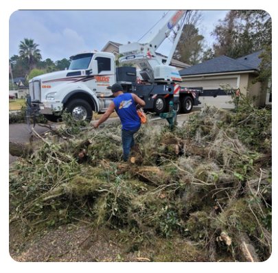 904Tree crane truck removing a hazardous storm-damaged tree in Jacksonville, FL