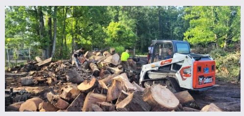 904Tree crew loading pallets of split firewood with a Bobcat loader in Jacksonville, FL