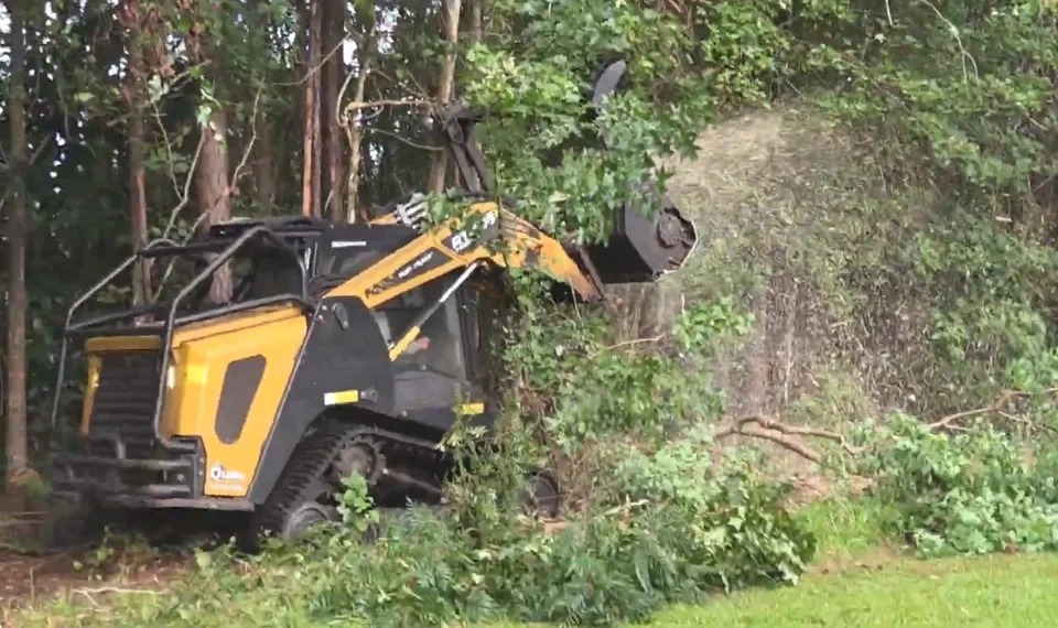 ASV RT-75 HD compact track loader with grapple bucket clearing heavy brush and vegetation — 904Tree Jacksonville FL