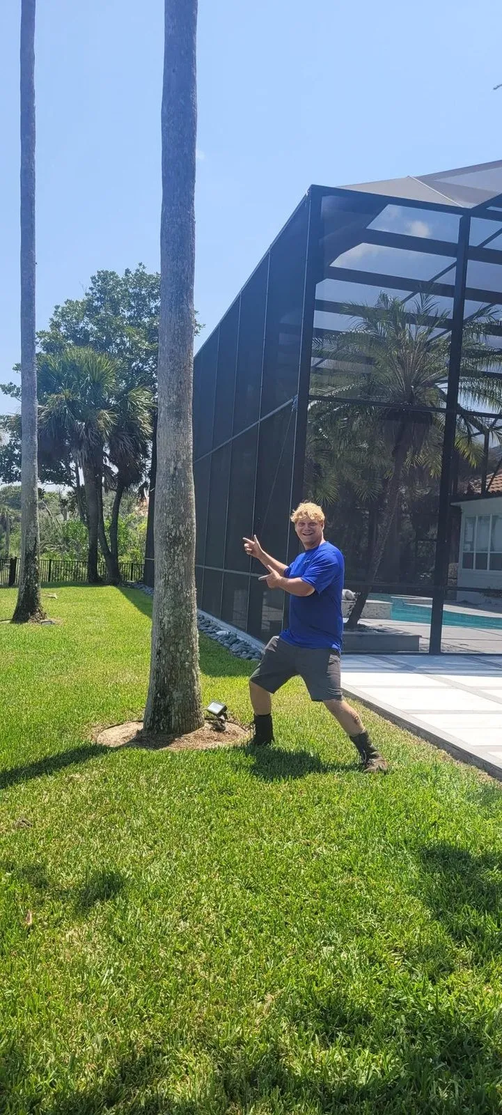 904Tree crew tending palms and turf at a Jacksonville property