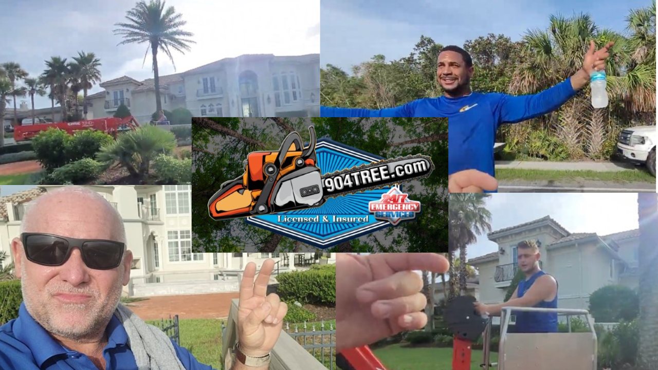 904Tree performing view-enhancement tree work at luxury homes in Ponte Vedra Beach, FL
