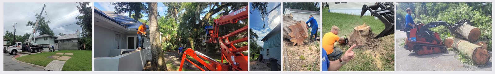 Overview of 904Tree services including tree removal, trimming, and land clearing in Jacksonville, FL