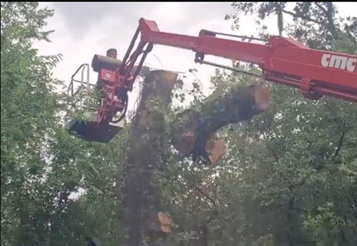 904Tree red spider lift lifting out a large log section during a tree removal in Jacksonville, FL