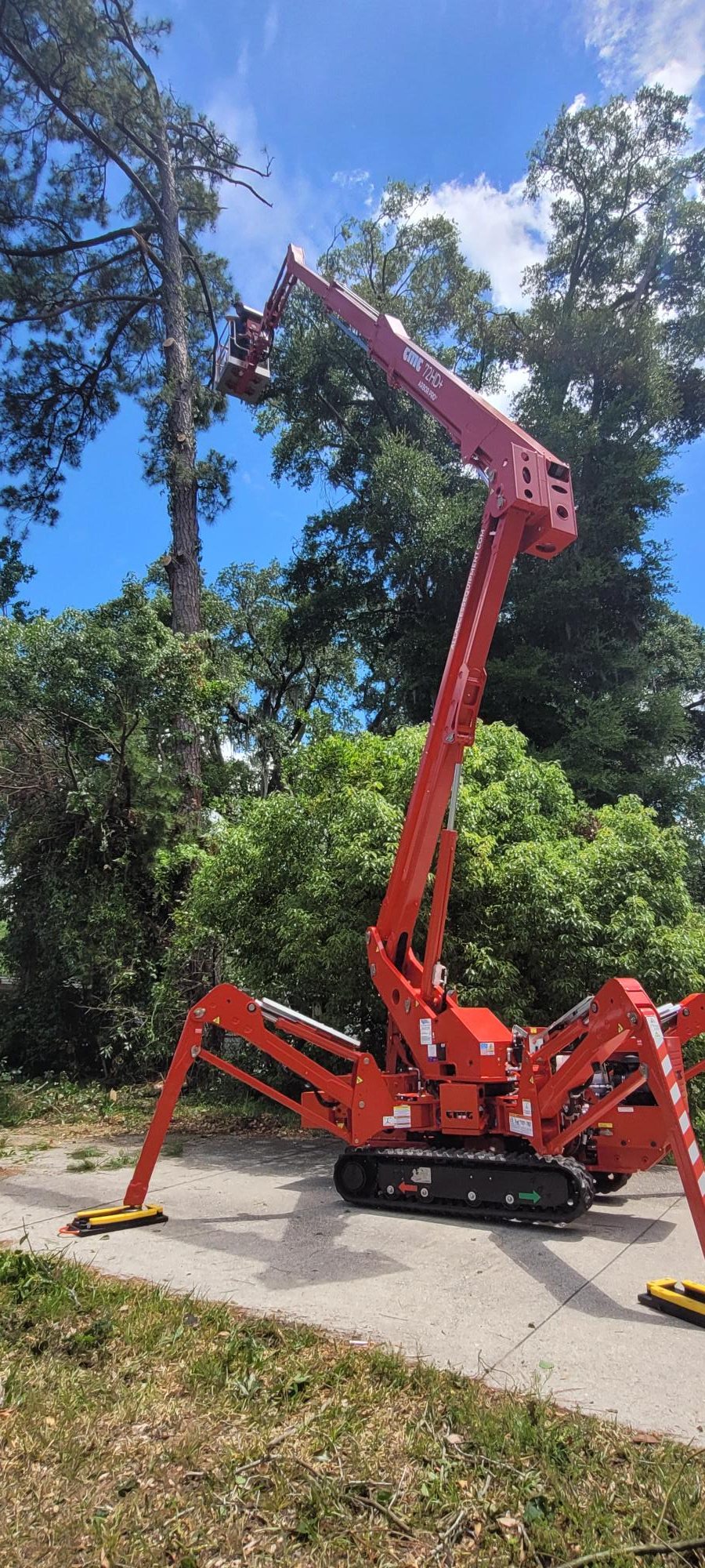 904Tree CMC spider lift extended into a tall pine for removal in Jacksonville, FL