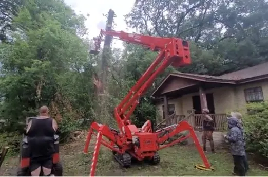 904Tree certified arborist working high in the tree canopy from a spider lift in Jacksonville FL
