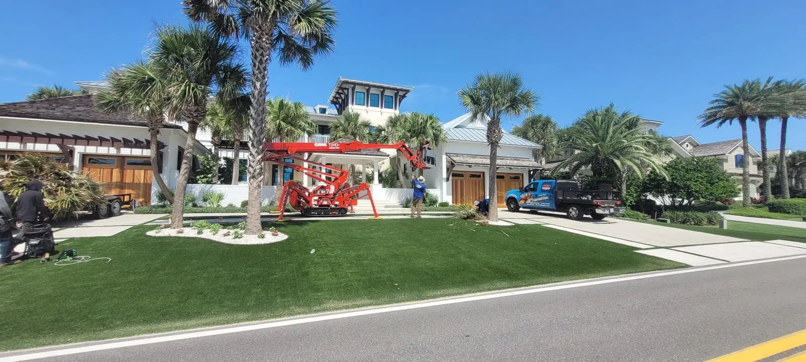 Compact spider lift removing a tall pine in Jacksonville FL