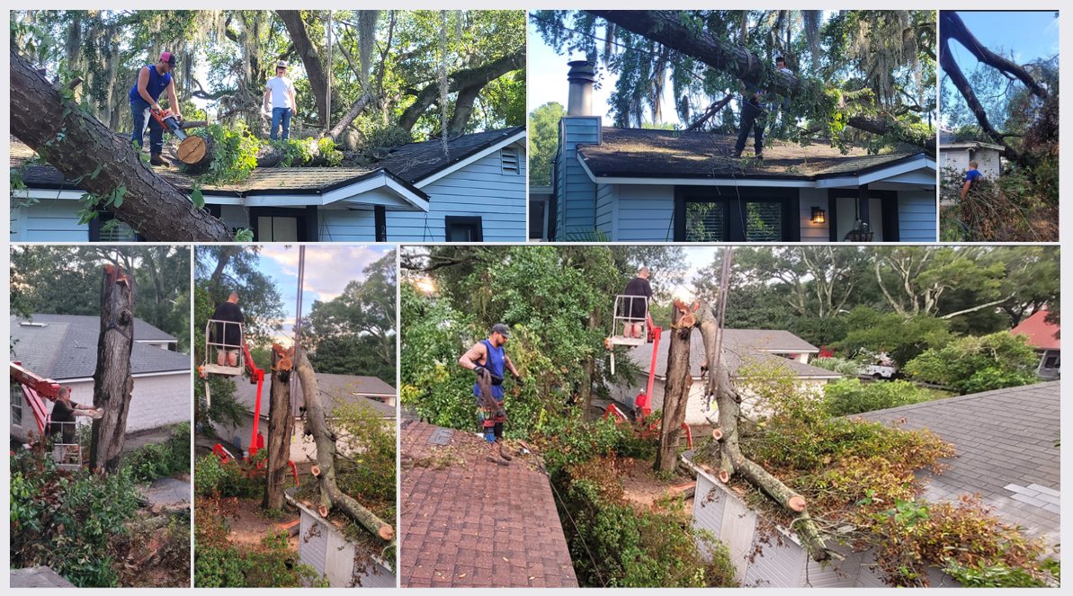 904Tree.com crew clearing storm-damaged trees off a roof in Jacksonville, FL