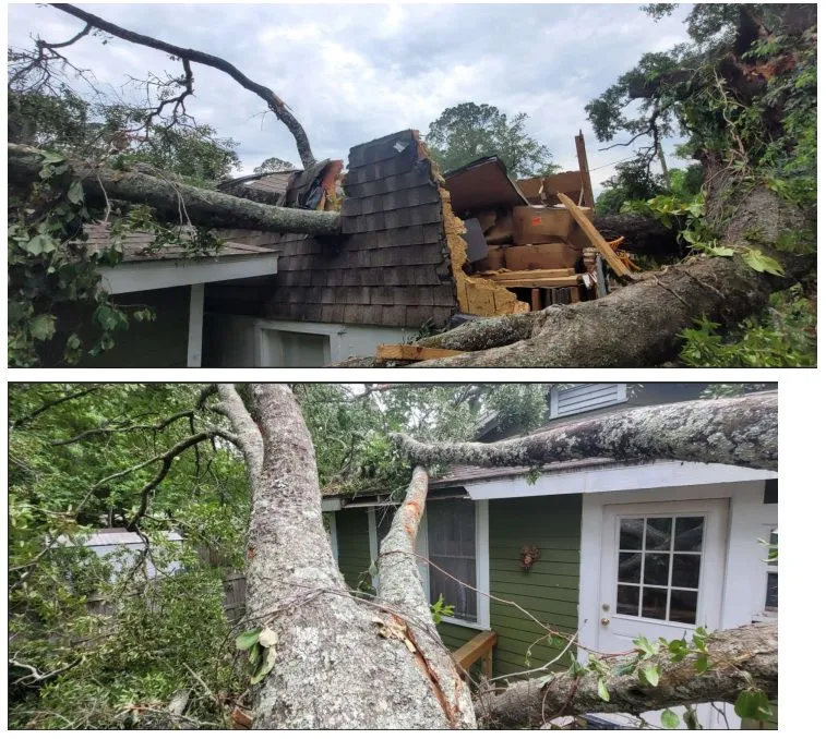 Massive oak tree collapsed through residential roof in Jacksonville FL — 904Tree hazardous tree removal