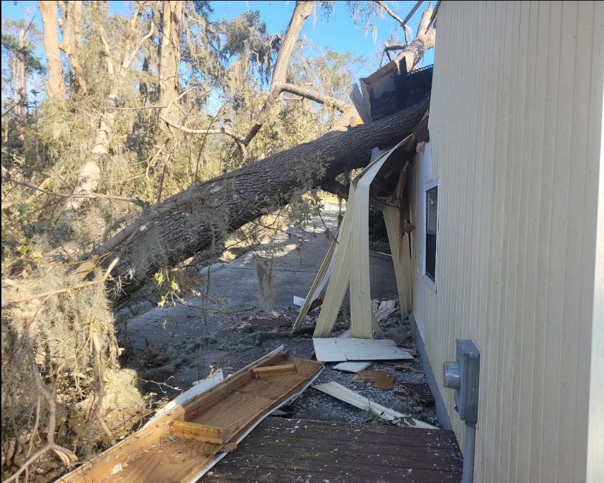 Fallen tree trunk punched through the wall of a Jacksonville home — 904Tree hazardous tree removal