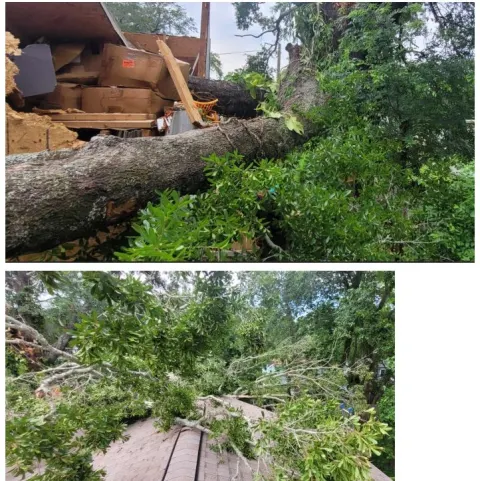 Storm-downed trunk and debris on a Jacksonville home — hazardous tree response in Jacksonville FL