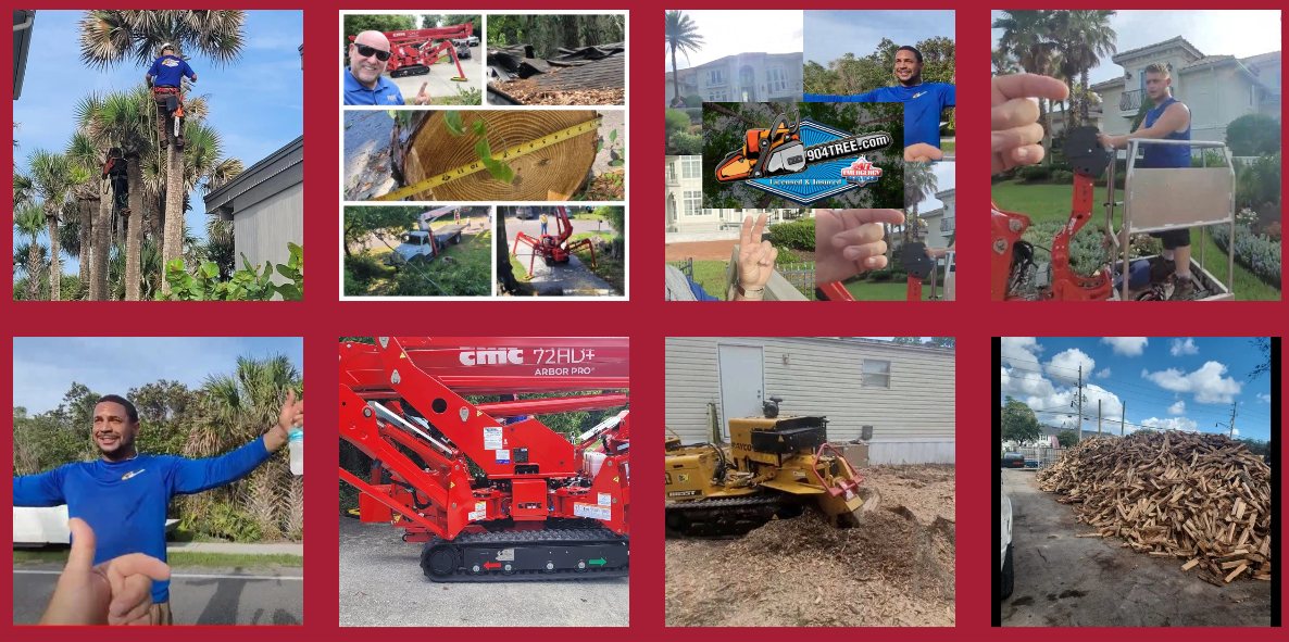 Collage of 904Tree jobs: stump grinding, crane removals, climbing, and bobcat work in Jacksonville, FL