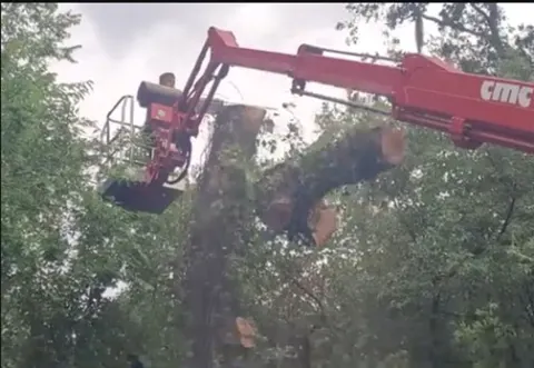 904Tree wrapped truck and crane on a residential tree job