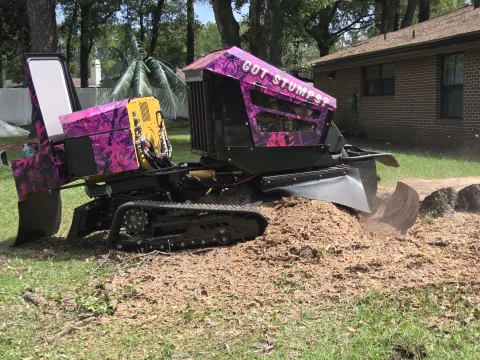 904Tree pink camo Got Stumps? stump grinder grinding a large stump flush to the ground beside a brick home in Jacksonville, FL, throwing a fresh pile of wood chips