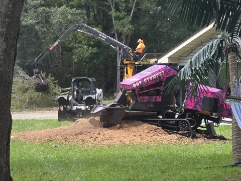 904Tree stump grinder and bobcat skid steer working together next to a house, grinding down a stump and leaving a large pile of wood chips in Jacksonville, FL