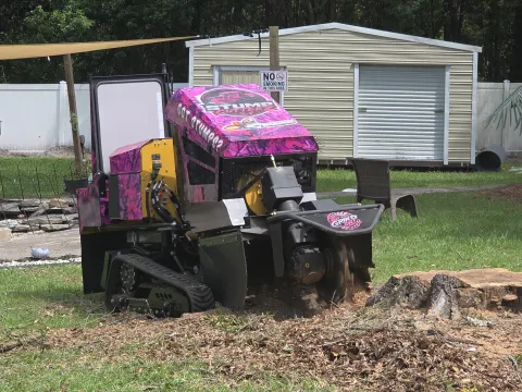 904Tree pink camo stump grinder grinding a large stump flush next to a shed with a fresh mound of wood chips in a Jacksonville, FL backyard